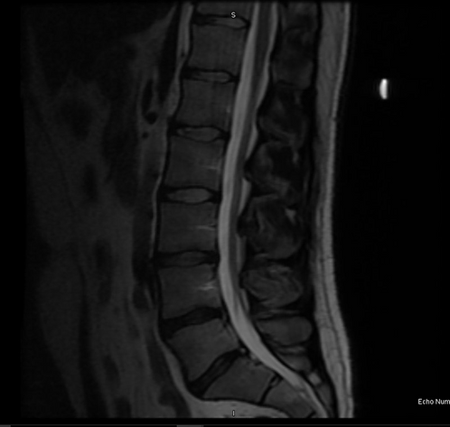 1de1a6_1139479ed74244a3862a9c3fd106998d_mv2