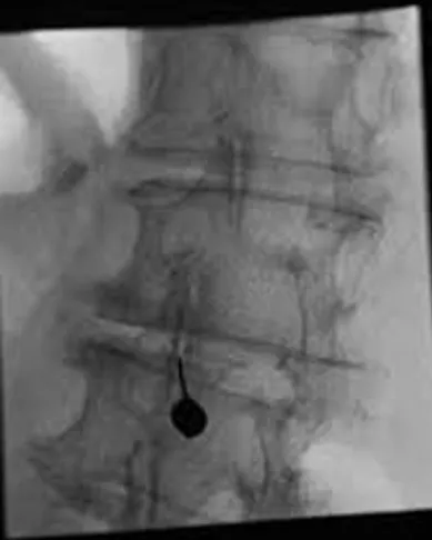 1de1a6_21b7a0f86e0844eca9ca77fcd957d9c9_mv2