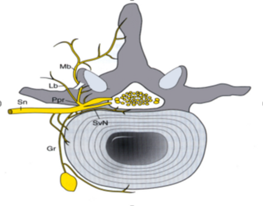 1de1a6_6cee6069196e46268c4f327c25efd6bc_mv2